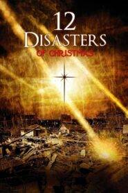 The 12 Disasters of Christmas (2012) Hindi Dubbed