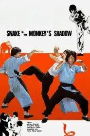 Snake in Monkeys Shadow (1979) Hindi Dubbed