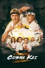 Cobra Kai (2024) Hindi Season 6 Complete