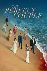 The Perfect Couple (2024) Hindi Season 1 Complete Netflix